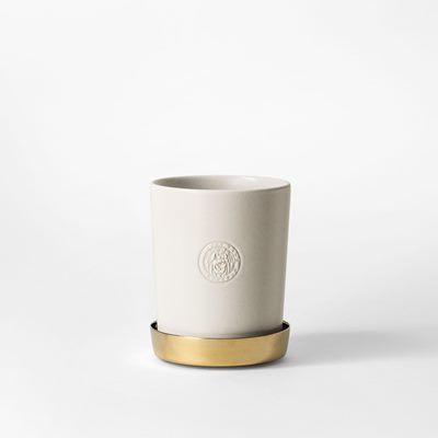 Pot Tolvekarna - Svenskt Tenn Online - Ø9,5 cm Height 12,5 cm, Stoneware, Eggshell, Erika Pekkari