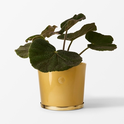 Pot Tolvekarna - Svenskt Tenn Online - Ø23,5 cm Height 21,5 cm, Stoneware, Yellow, Erika Pekkari