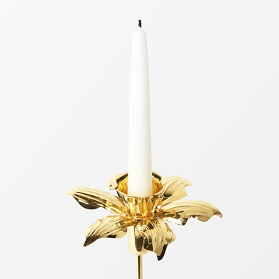 Candle Ring Daffodil - Svenskt Tenn Online - Diameter 15 cm , Brass, Sam Wilde