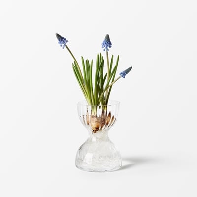Vase Iris - Svenskt Tenn Online - Diameter 10,5 cm, Height 14 cm, Clear, Ann Wåhlström