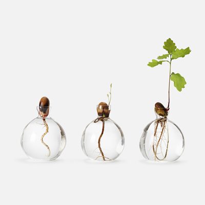 Vase Acorn - Height 12 cm, Glass, Clear, Estrid Ericson | Svenskt Tenn