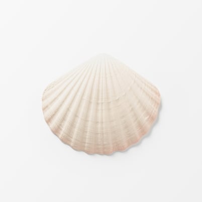 Plate Porcelain Shell | Svenskt Tenn